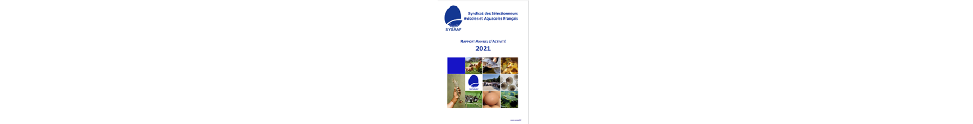 BandeauRA2021.png